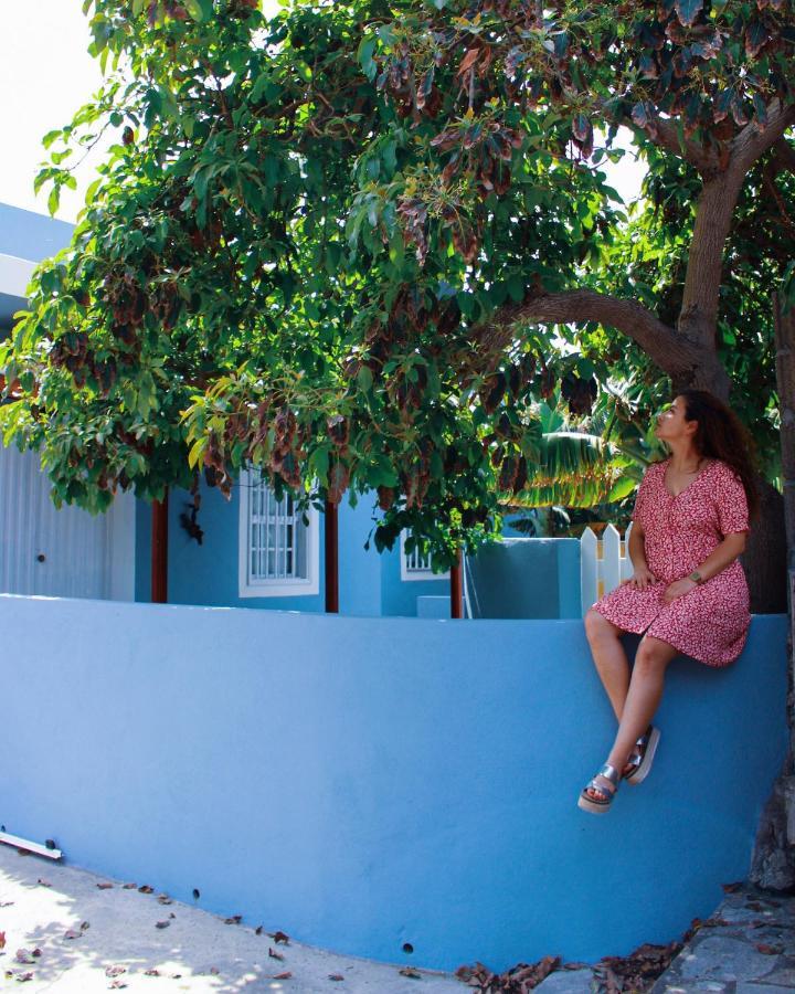Rooftop Casa El Banco El Charco  외부 사진